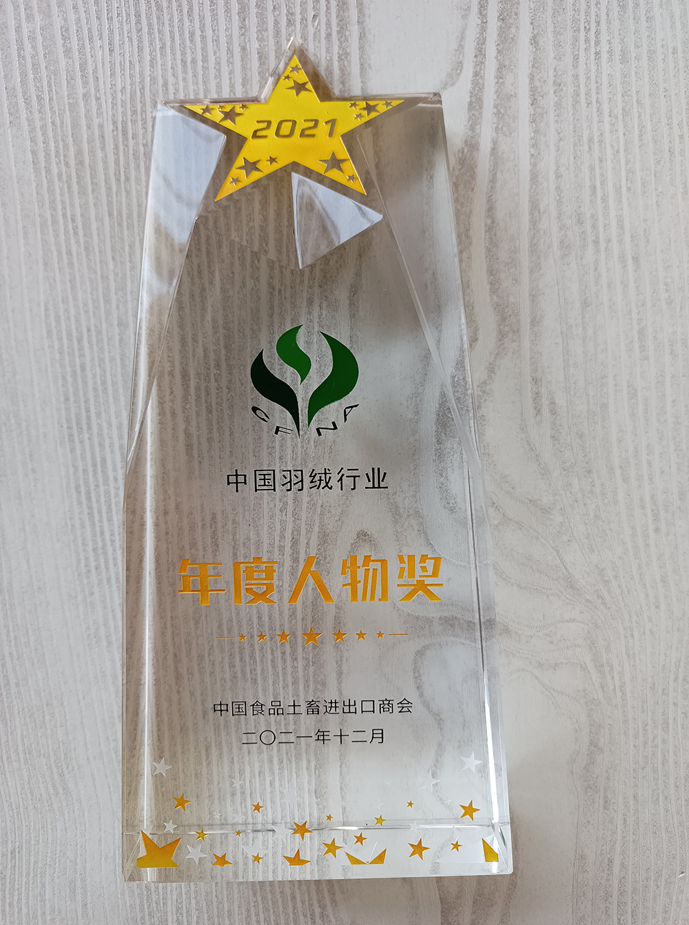中國羽絨行業年度人物獎